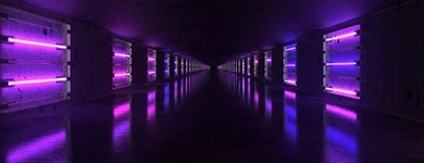 Alojamiento Web Profesional