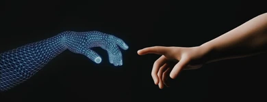 Servicio de Optimización GEO